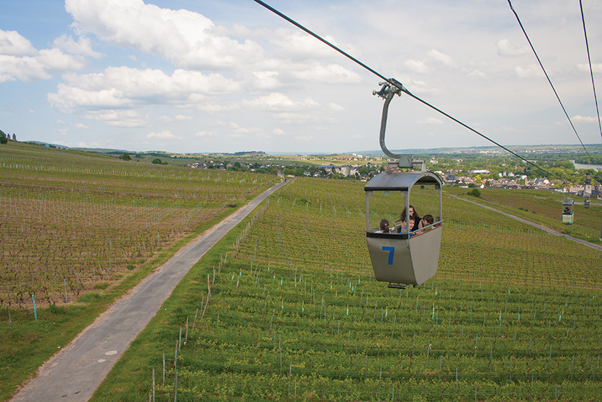 A wonderful cable car ride above the vineyards
