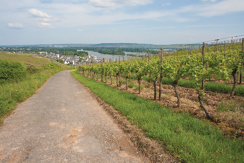 Almost there: the path to RÃ¼desheim