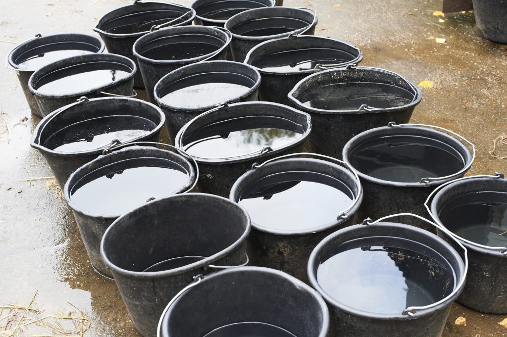 Buckets of water for drinking horses