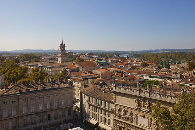 View of historic center of Avignon town from Papal Palace. France