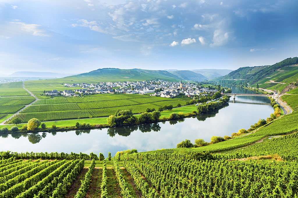 The Moselle Wine Region - Germany