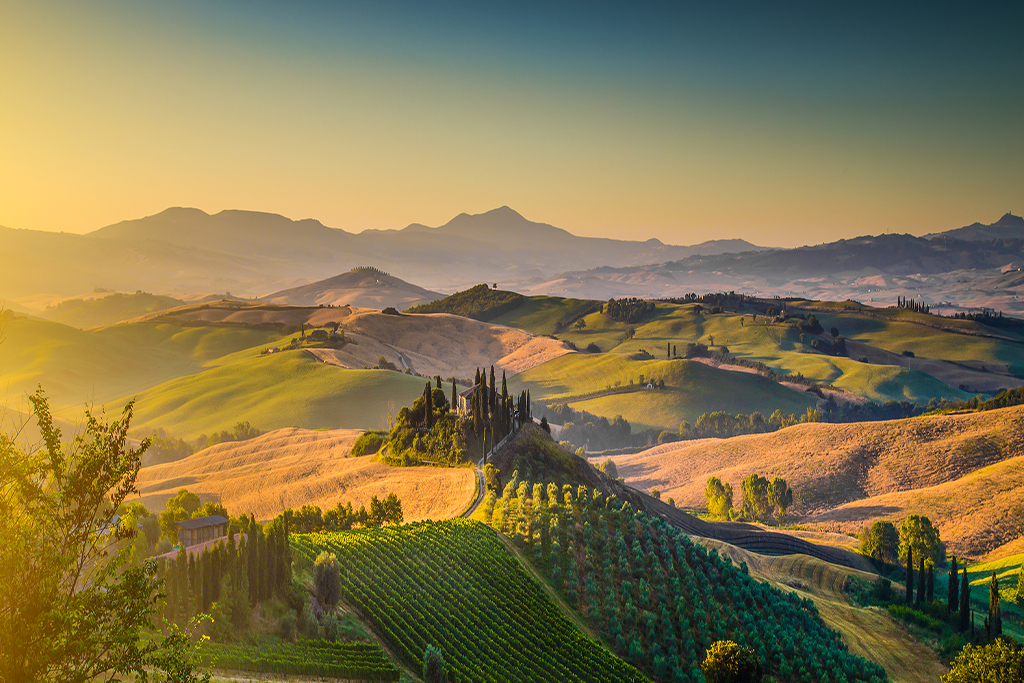 Tuscany, Italy's famous wine producing region. 